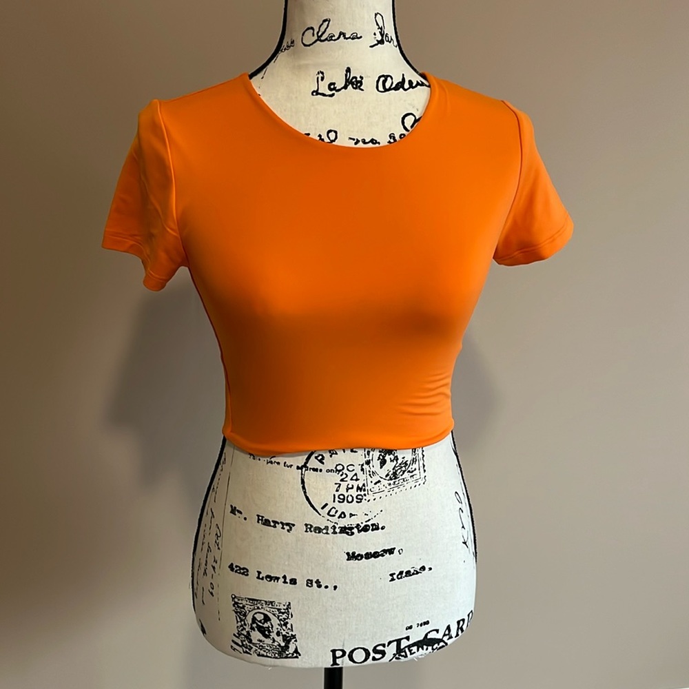 Aritzia Babaton Contour Crew Cropped T-Shirt - size small